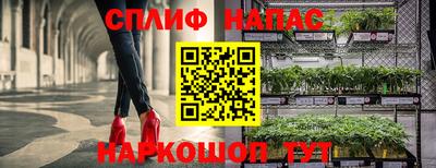 крисы Канаш
