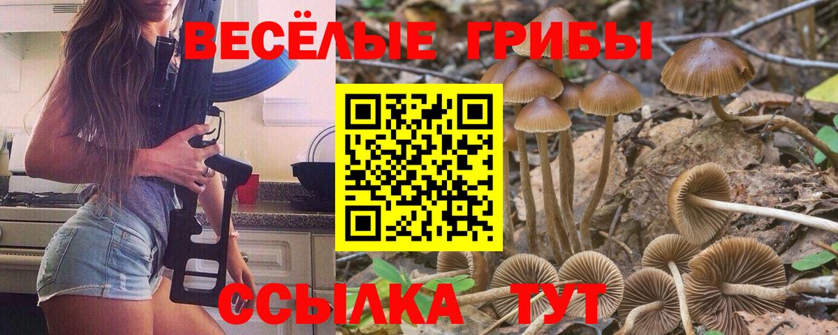 Псилоцибиновые грибы Magic Shrooms Лысьва